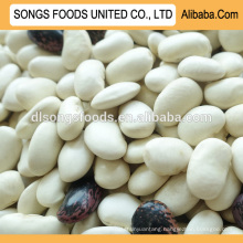 High Quality White Kidney Beans price